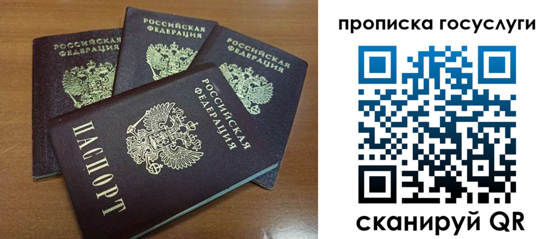 прописка 2025 в Гусеве